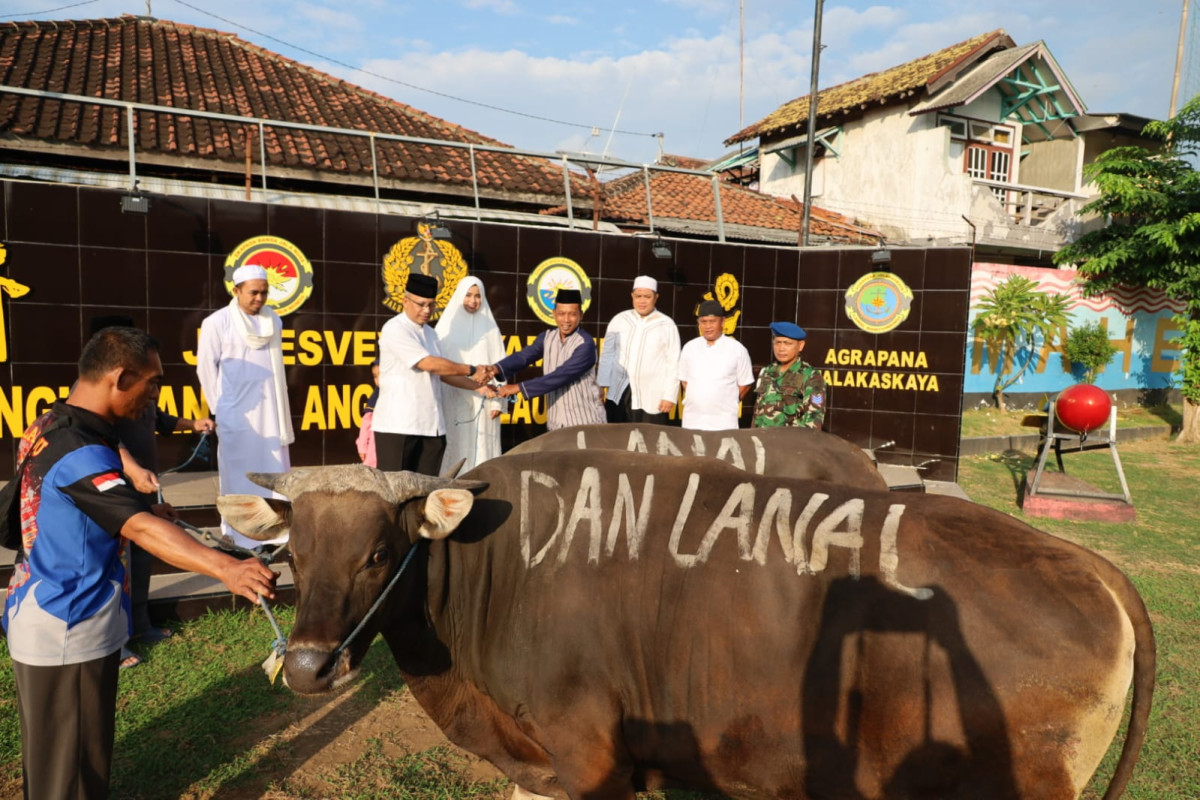 Dua ekor sapi dikurbankan di Lanal Banyuwangi pada perayaan Hari Raya Idul Adha Senin (17/6/2024)