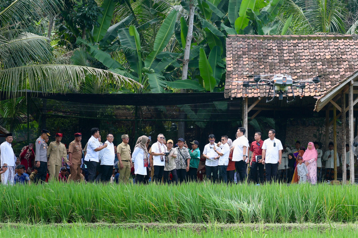 Menko Zulhas saat menjajal penyemprotan pupuk organik cair menggunakan drone